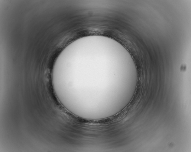 X0000102340649200808010913