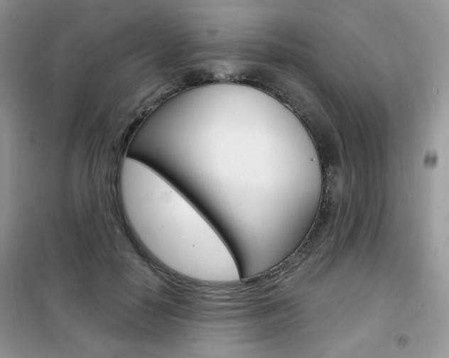 X0000102340650200808010913