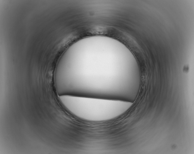 X0000102340652200808010913