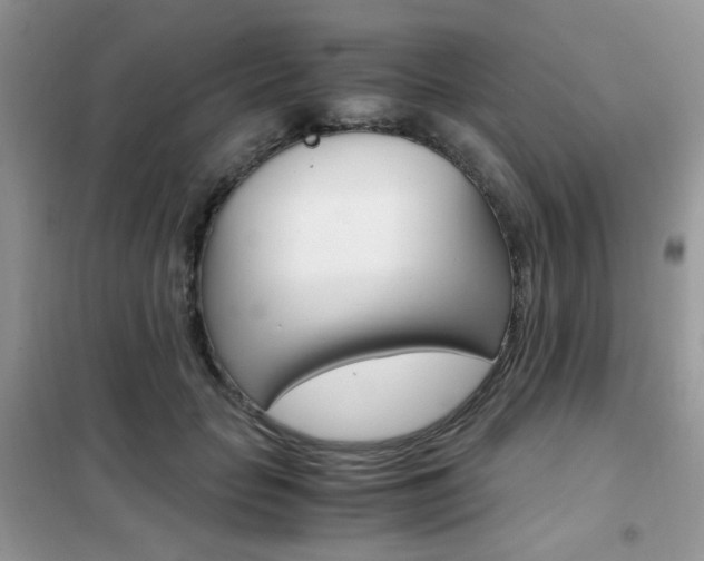X0000102340653200808010913