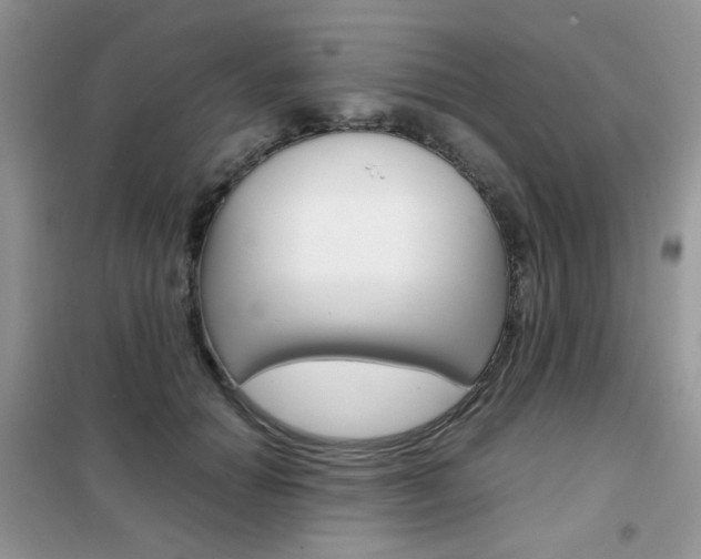 X0000102340654200808010913