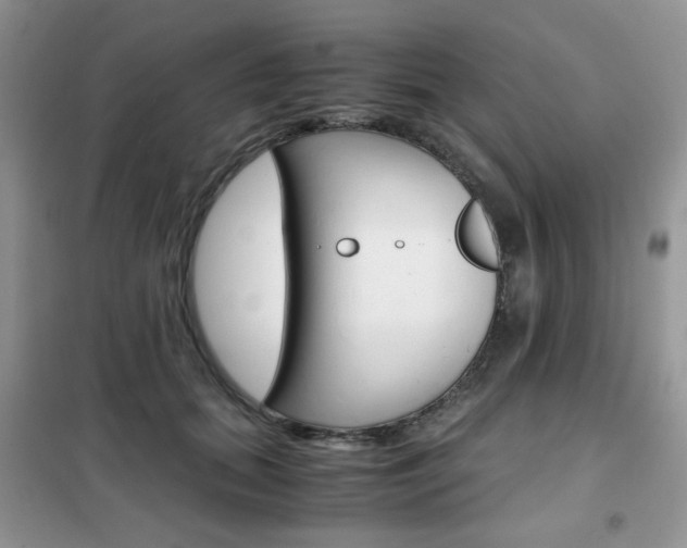 X0000102340655200808010914