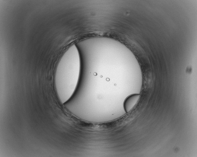 X0000102340656200808010914