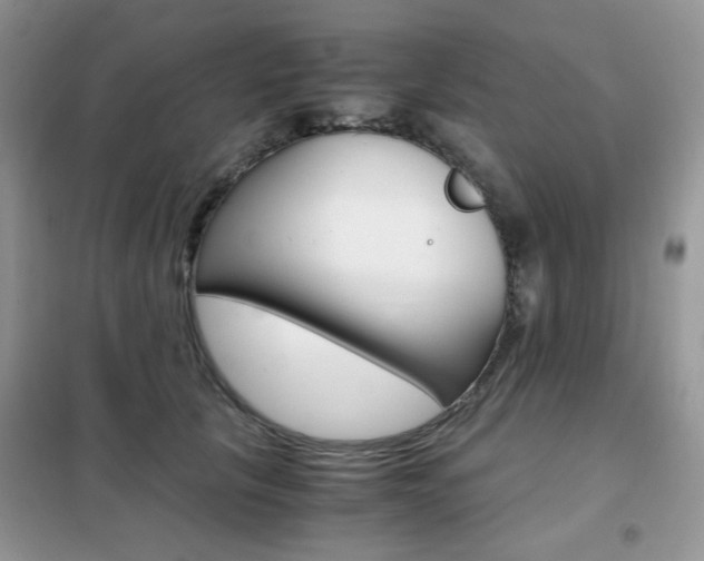 X0000102340657200808010914