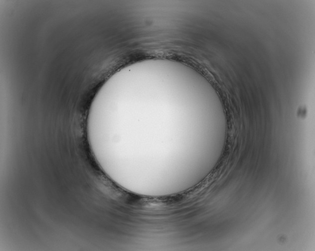 X0000102340658200808010914