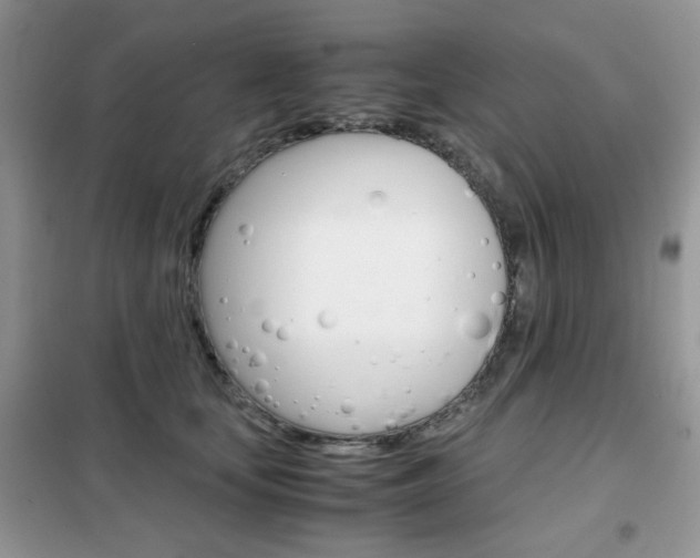 X0000102340659200808010914