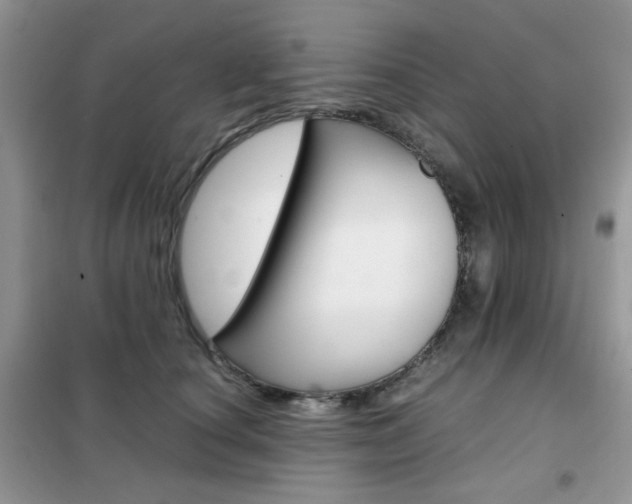 X0000102340660200808010914