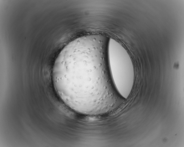 X0000102340662200808010914