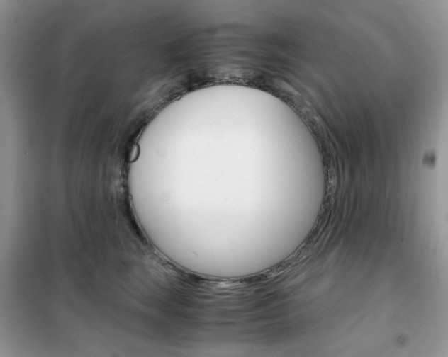 X0000102340663200808010914