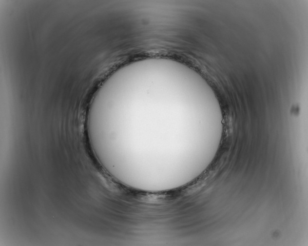 X0000102340664200808010914