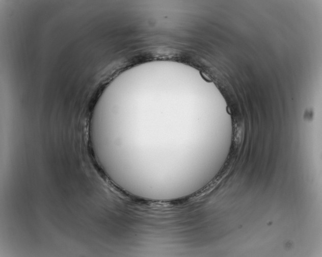 X0000102340666200808010914