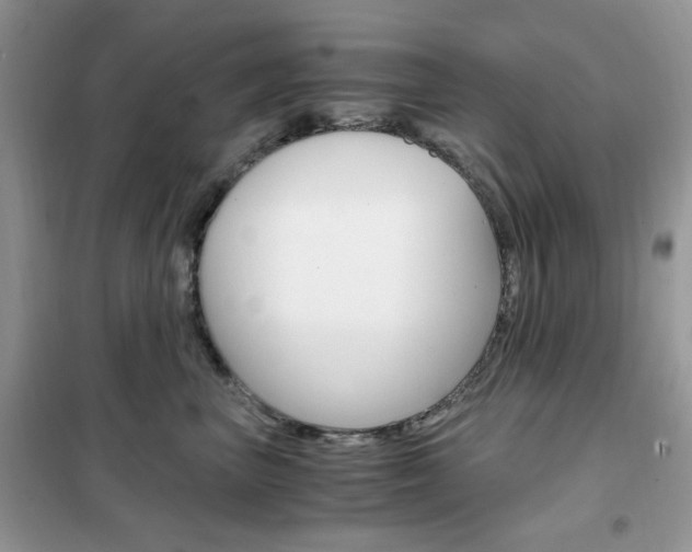 X0000102340667200808010914
