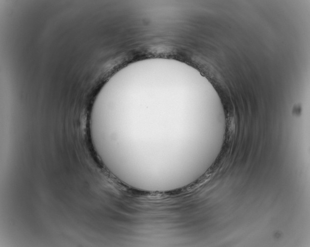 X0000102340668200808010914