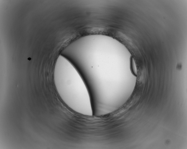 X0000102340669200808010914