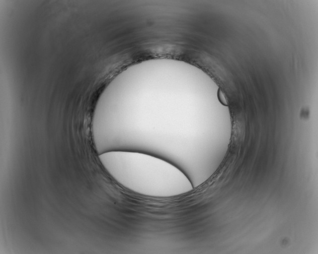 X0000102340671200808010914