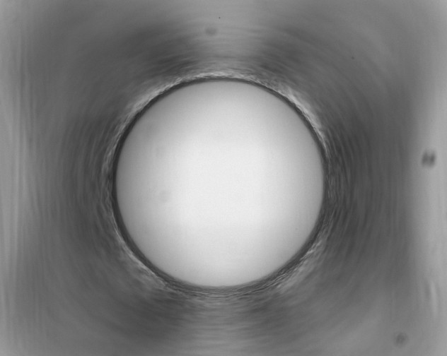 X0000102340673200808010913