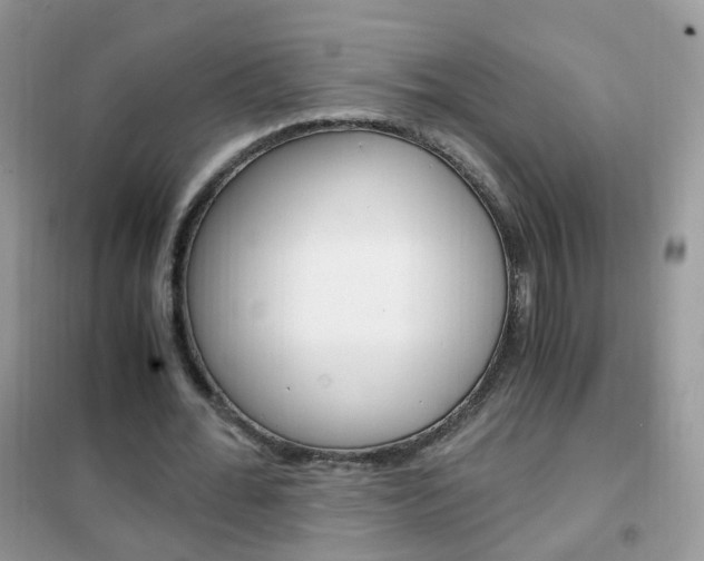 X0000102340676200808010913