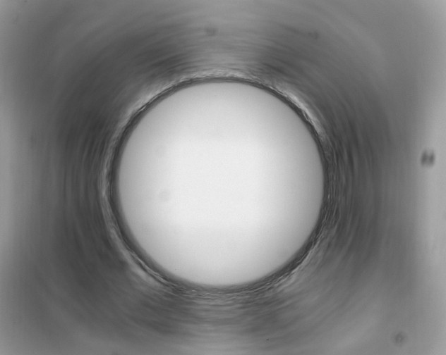 X0000102340677200808010913