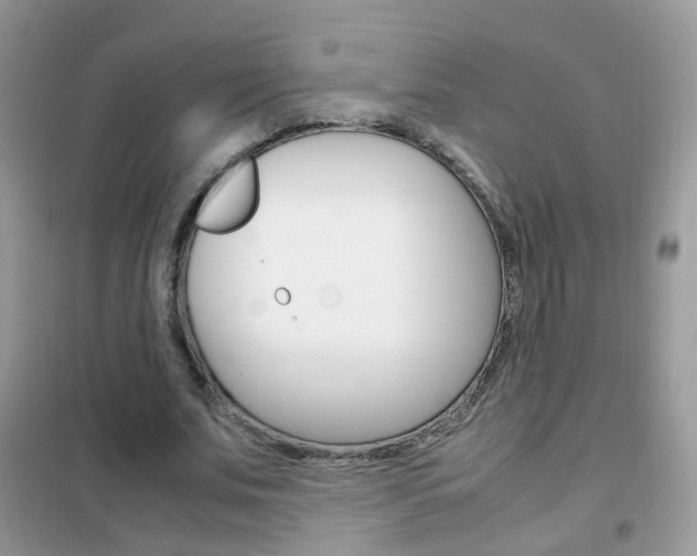X0000102340679200808010913