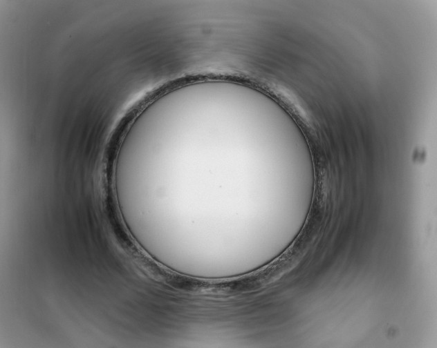 X0000102340680200808010913