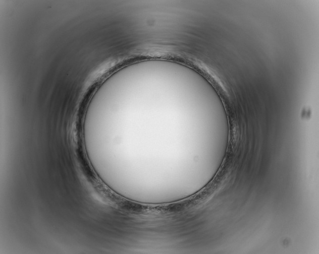 X0000102340682200808010913