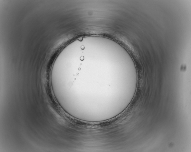 X0000102340683200808010913