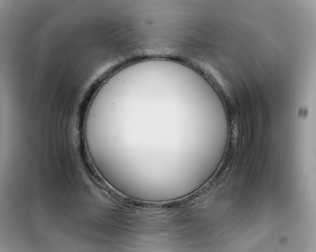 X0000102340684200808010913