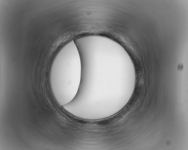 X0000102340685200808010913