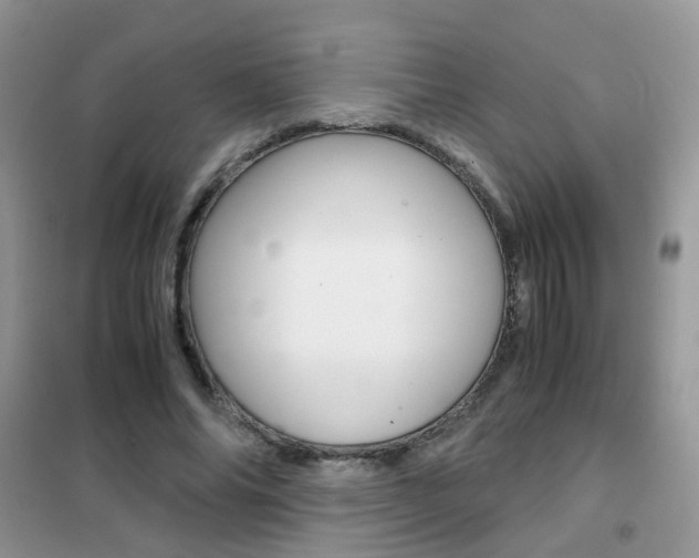 X0000102340686200808010913