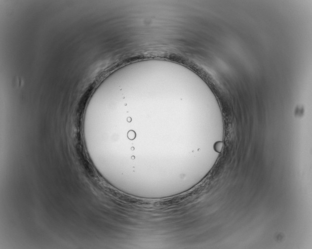 X0000102340687200808010913
