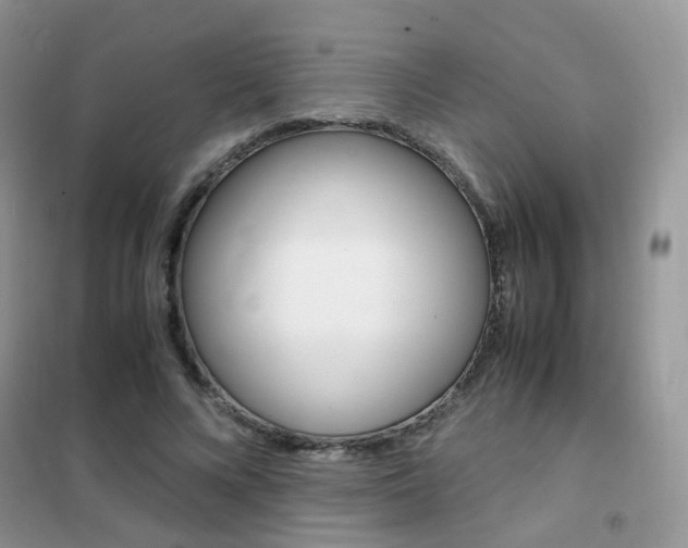 X0000102340688200808010913