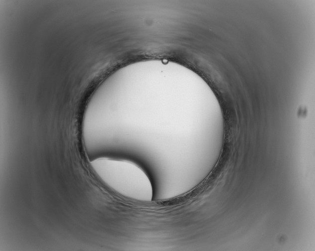 X0000102340689200808010913