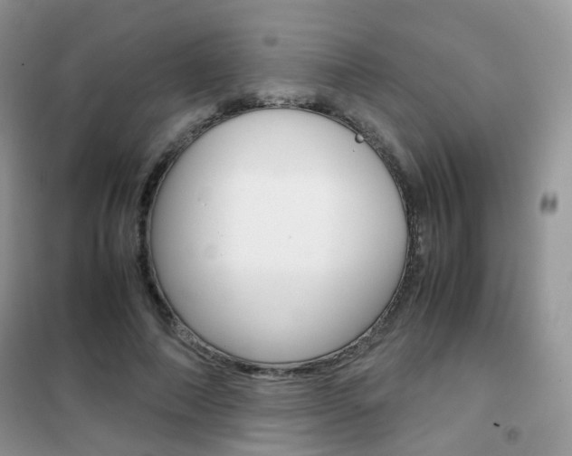 X0000102340690200808010913