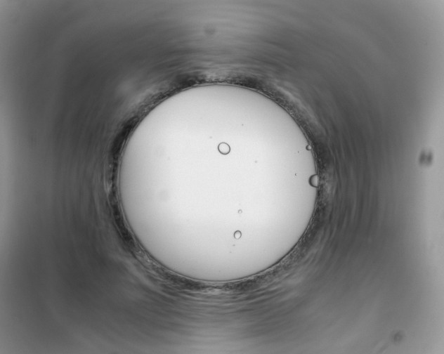 X0000102340691200808010913