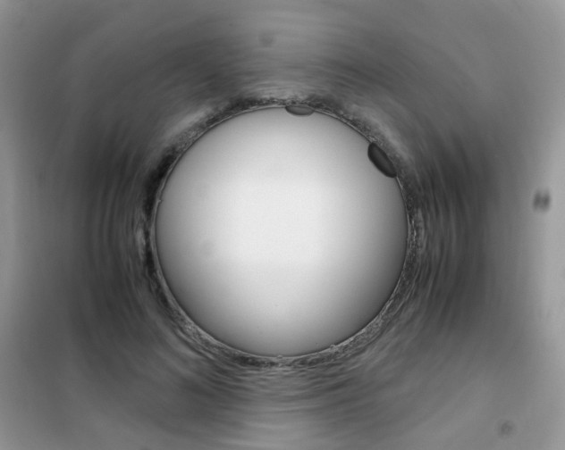 X0000102340692200808010913