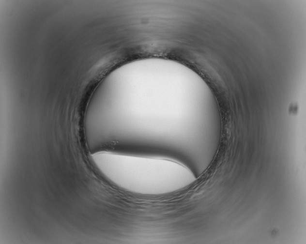 X0000102340693200808010913