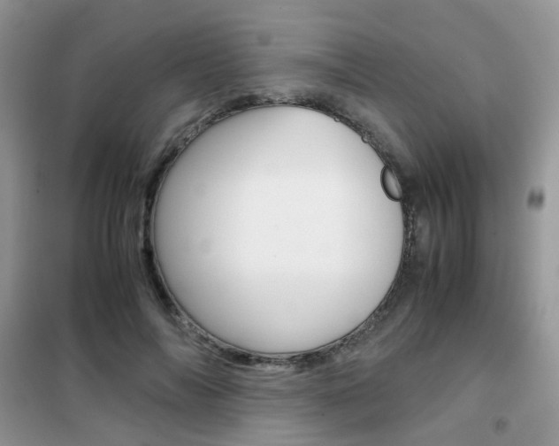 X0000102340694200808010913