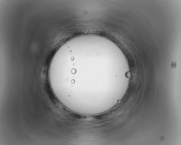 X0000102340695200808010913