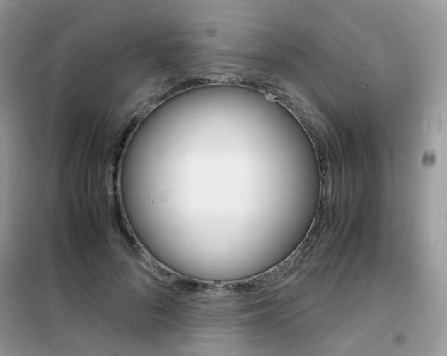 X0000102340696200808010913
