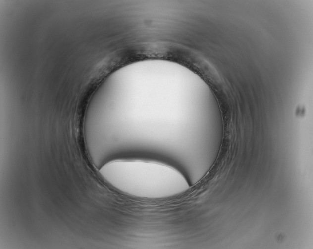 X0000102340697200808010913