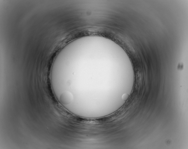 X0000102340698200808010913