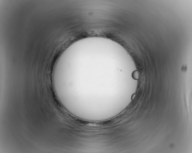 X0000102340699200808010913