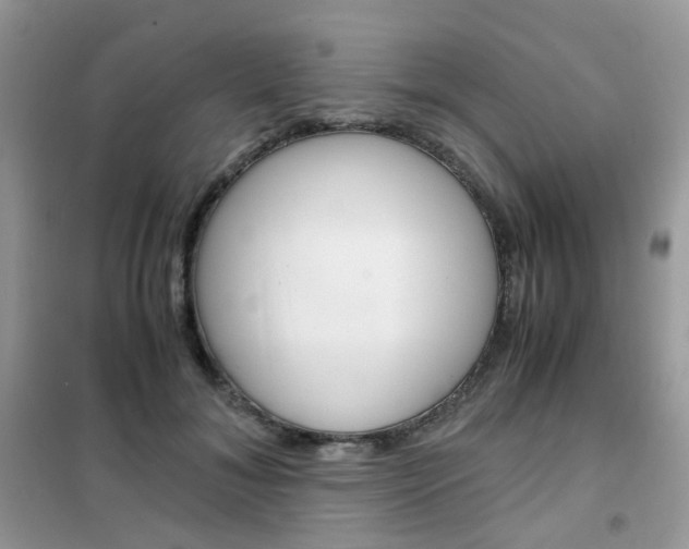 X0000102340700200808010913