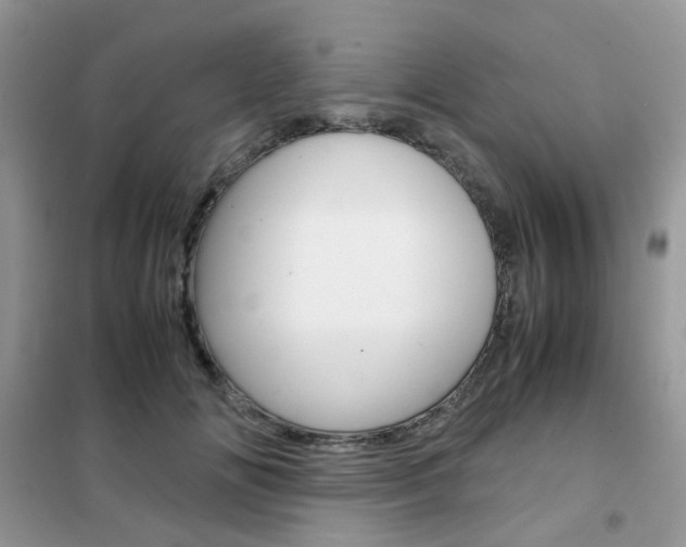 X0000102340702200808010913