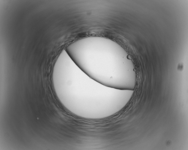 X0000102340703200808010913