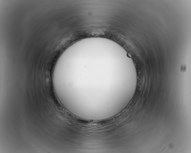 X0000102340704200808010913