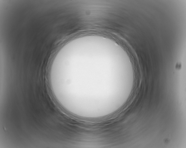 X0000102340705200808010913