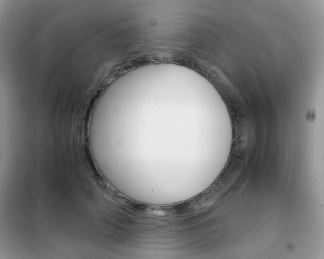 X0000102340706200808010913