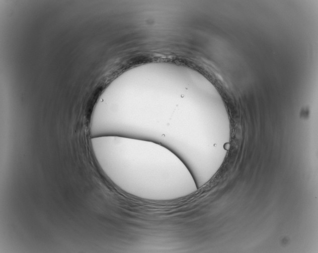 X0000102340707200808010913