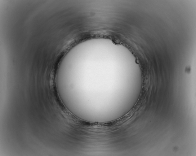 X0000102340708200808010913